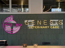 Сучасна діагностика тварин у Genesis Care - УЗД, рентген і лабораторія